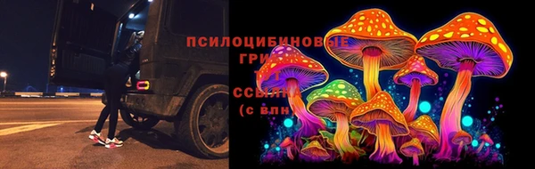 2c-b Ельня