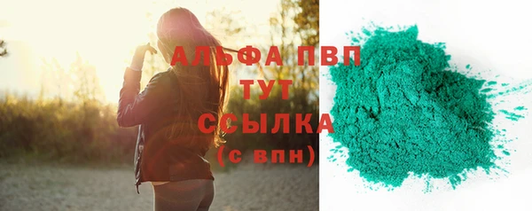 2c-b Ельня
