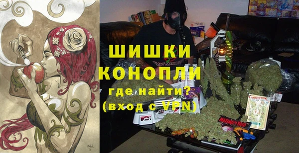2c-b Ельня
