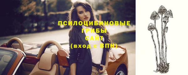 эйфоретик Елизово