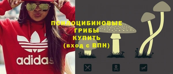 эйфоретик Елизово