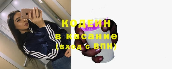 эйфоретик Елизово