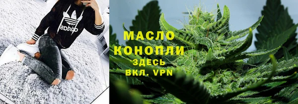 2c-b Ельня