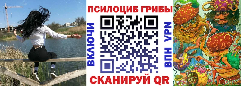 Купить где  Кириши  Галлюциногенные грибы Magic Shrooms 